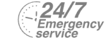 24/7 Emergency Service Pest Control in South Croydon, Sanderstead, Selsdon, CR2. Call Now! 020 8166 9746