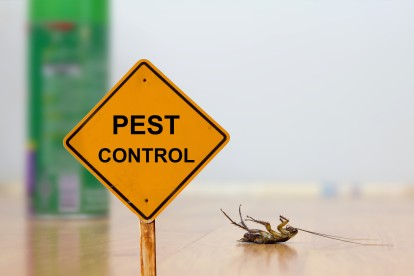 Pest Contol in South Croydon, Sanderstead, Selsdon, CR2. Call Now 020 8166 9746